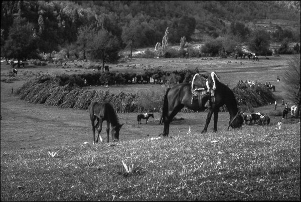 fotografia del ensayo