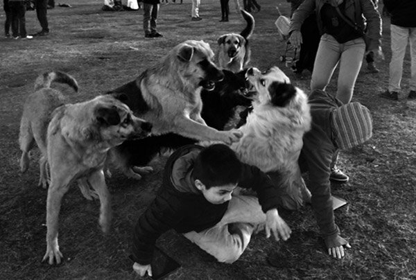 fotografia del ensayo