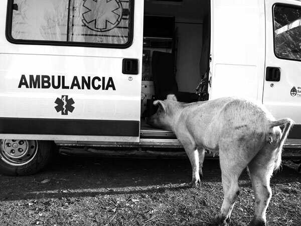 fotografia del ensayo