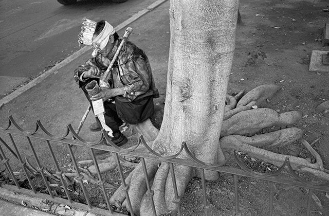 fotografia del ensayo