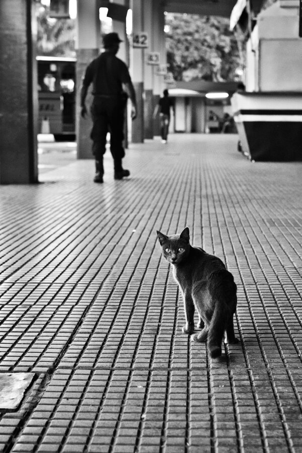 fotografia del ensayo